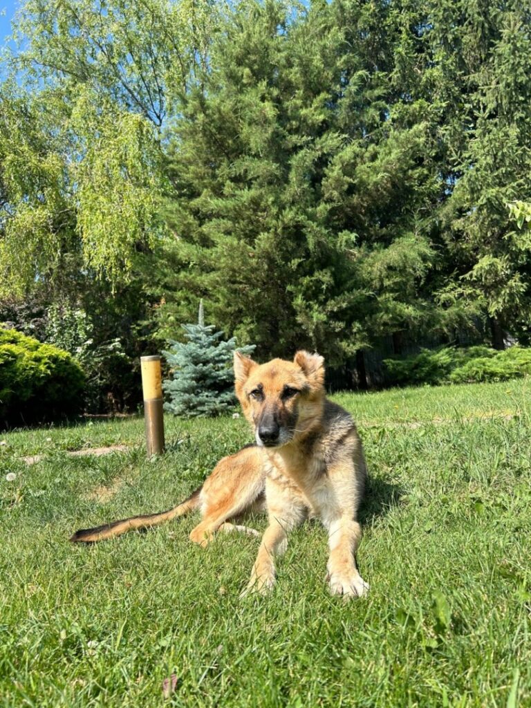 WhatsApp Image 2025-06-15 at 16.47.09 (1)