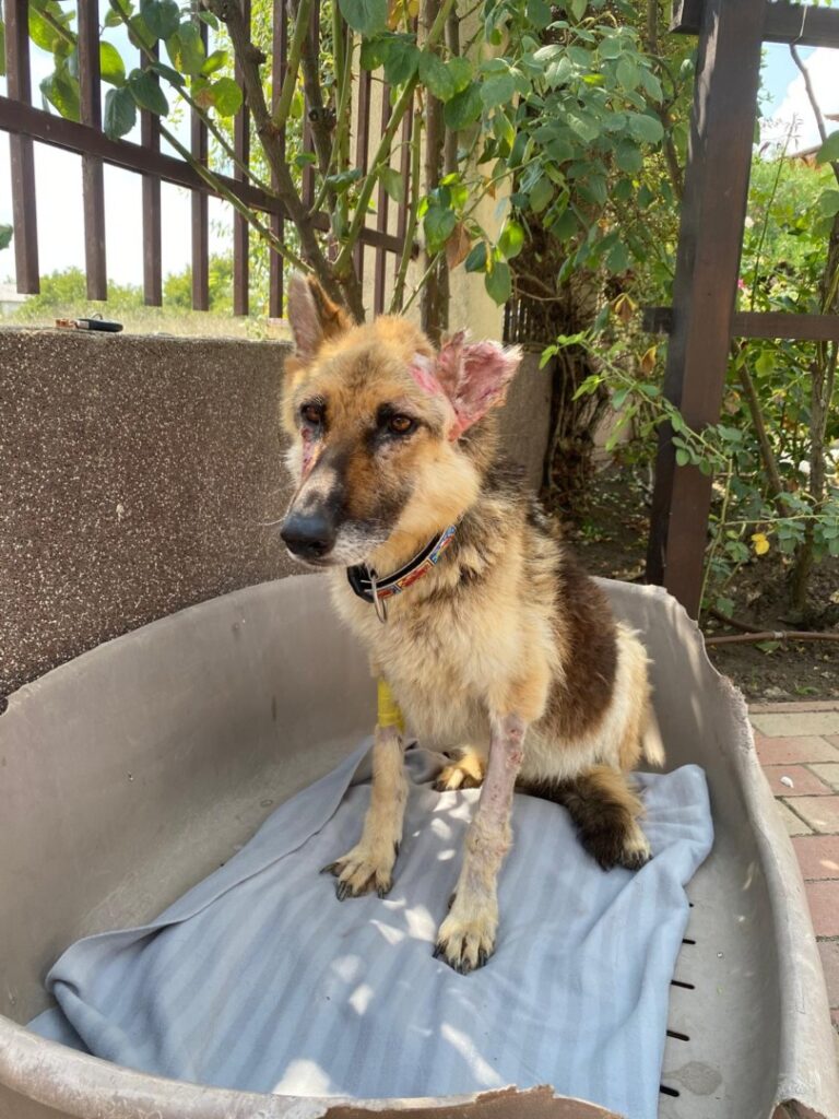 WhatsApp Image 2025-06-15 at 16.47.09 (2)