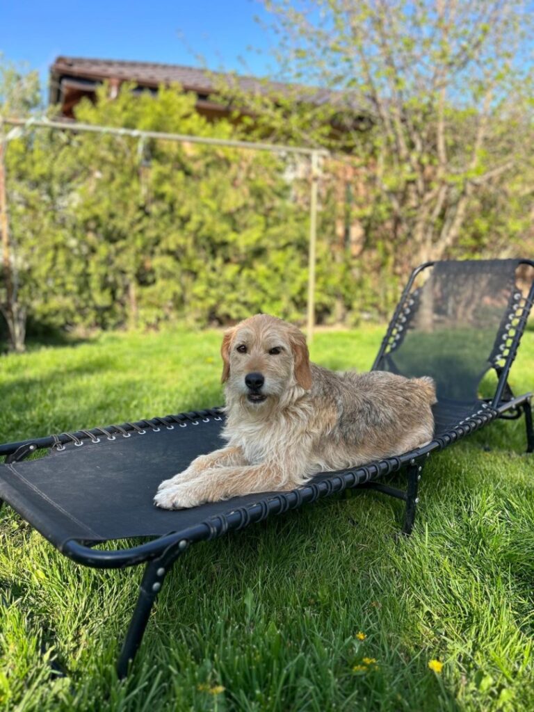 WhatsApp Image 2025-06-15 at 16.47.09