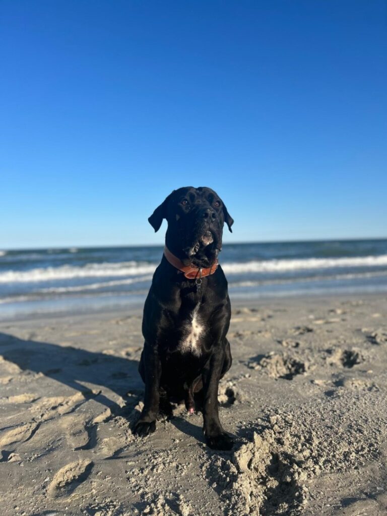 WhatsApp Image 2025-06-15 at 16.47.10