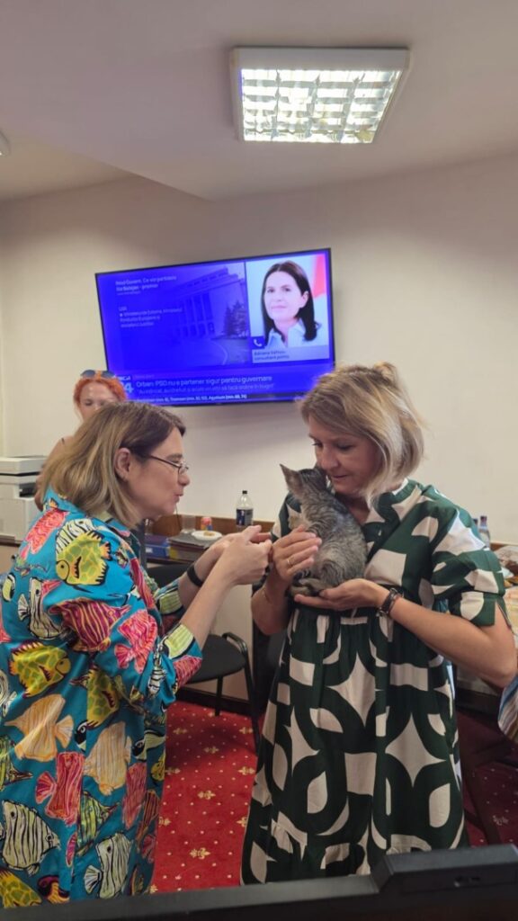 WhatsApp Image 2025-06-17 at 19.31.44