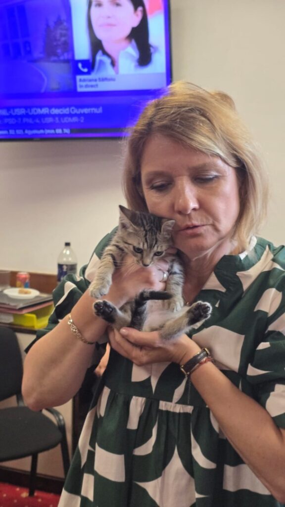 WhatsApp Image 2025-06-17 at 19.31.45