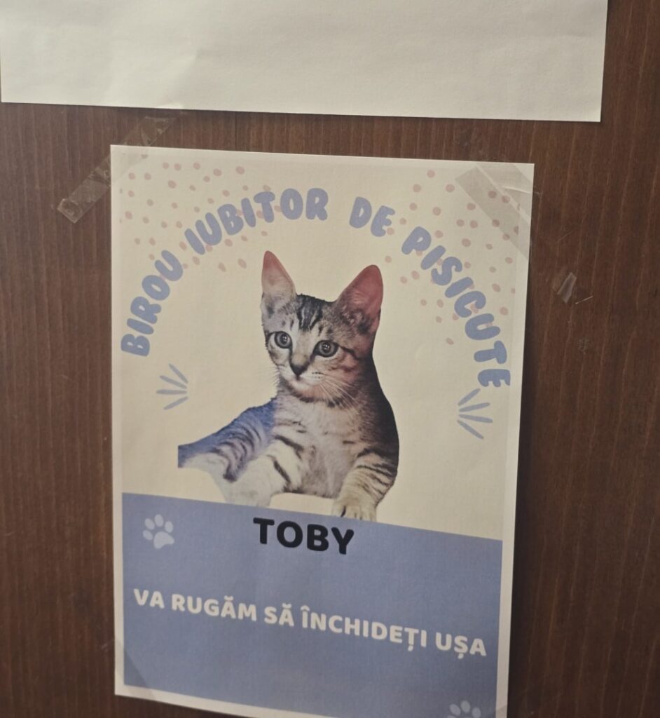 WhatsApp Image 2025-06-17 at 19.31.46