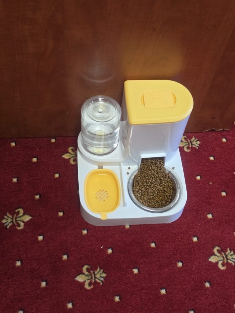 WhatsApp Image 2025-06-17 at 19.31.46