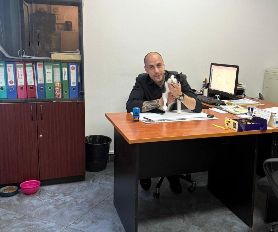 Pisică la birou, alături de un angajat