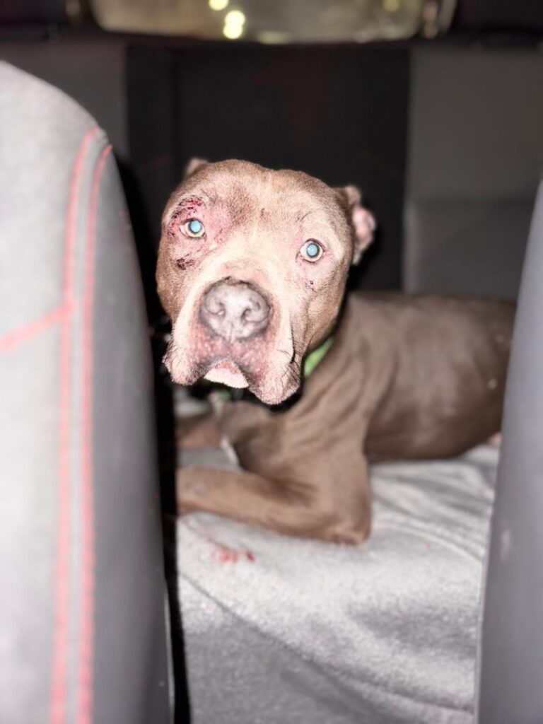 WhatsApp Image 2025-06-17 at 20.14.29