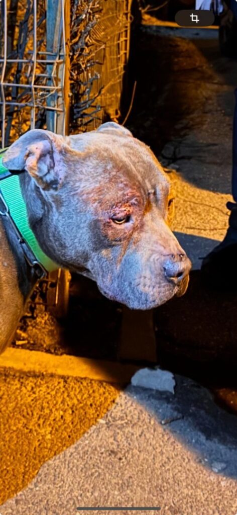 WhatsApp Image 2025-06-17 at 20.14.55