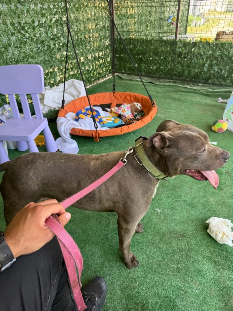 WhatsApp Image 2025-06-17 at 20.46.51