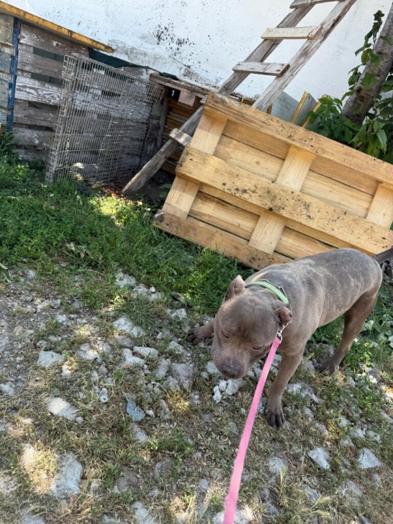 WhatsApp Image 2025-06-17 at 20.46.52