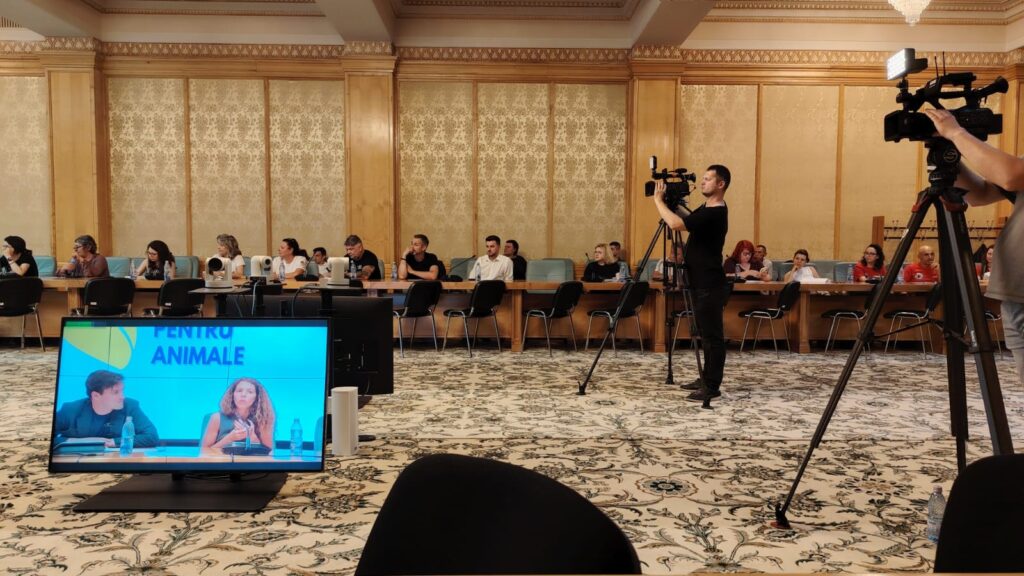 WhatsApp Image 2025-06-20 at 10.43.01 (3)