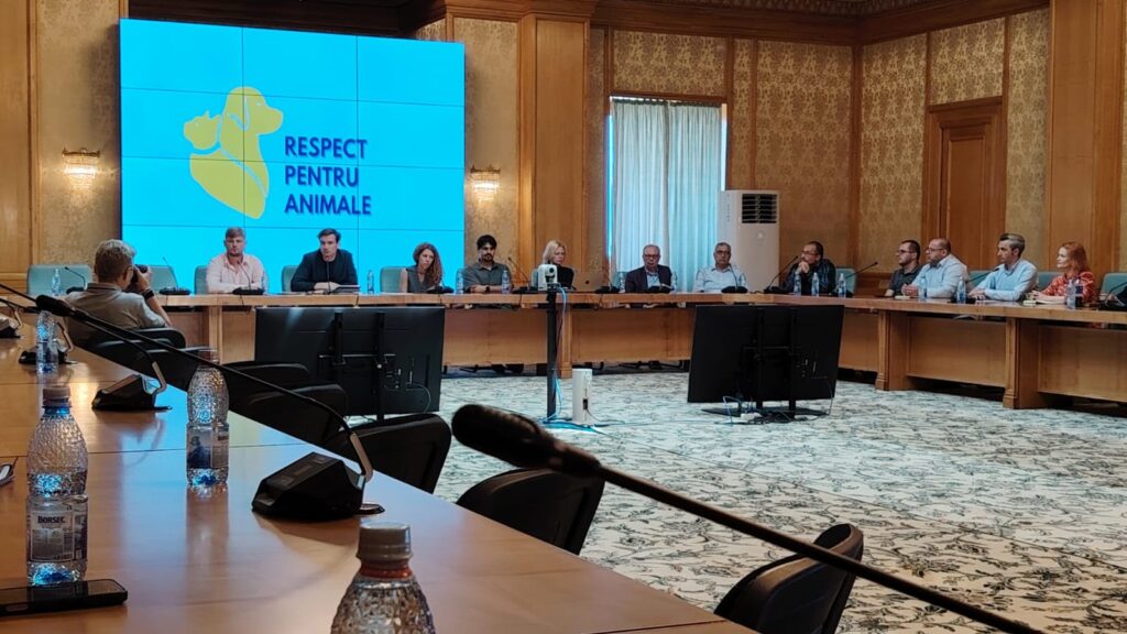 WhatsApp Image 2025-06-20 at 10.43.02