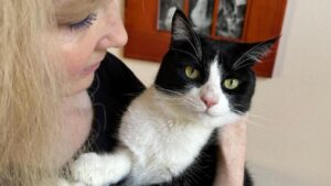 stapana si pisica Mochi