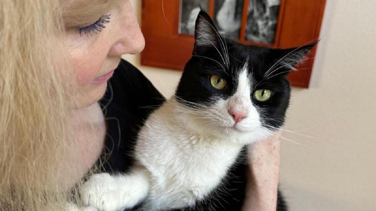 stapana si pisica Mochi