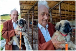 Colaj cu domnul Costiuc și cățelul Noah