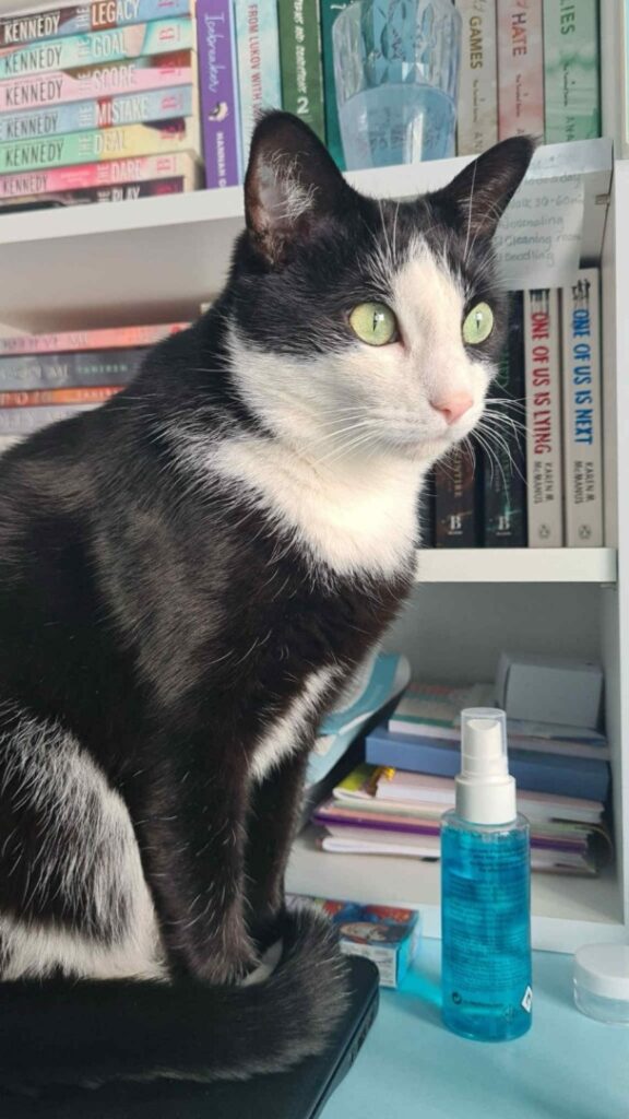 bdb2f25a-9a06-4cbf-8dac-d74bc762e4a6