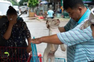Un bărbat ridică un câine de ceafă