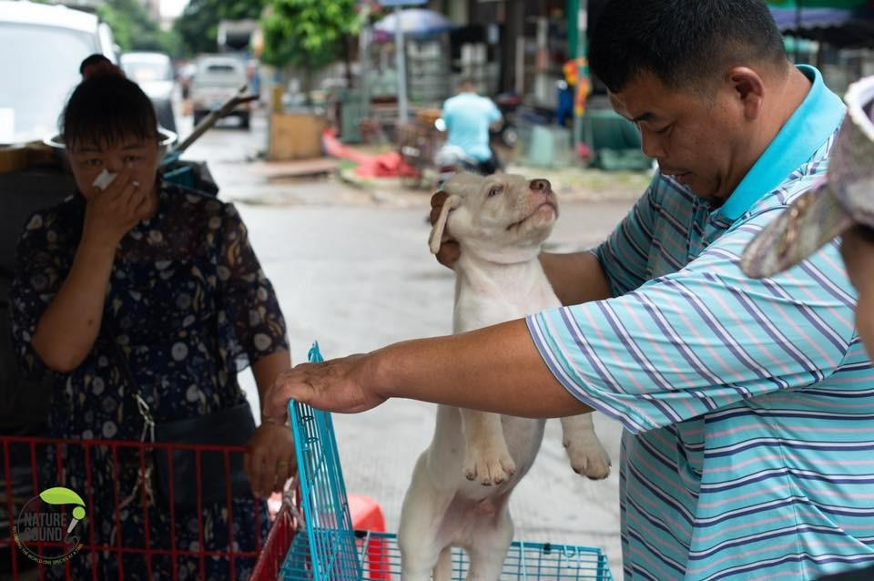 Un bărbat ridică un câine de ceafă