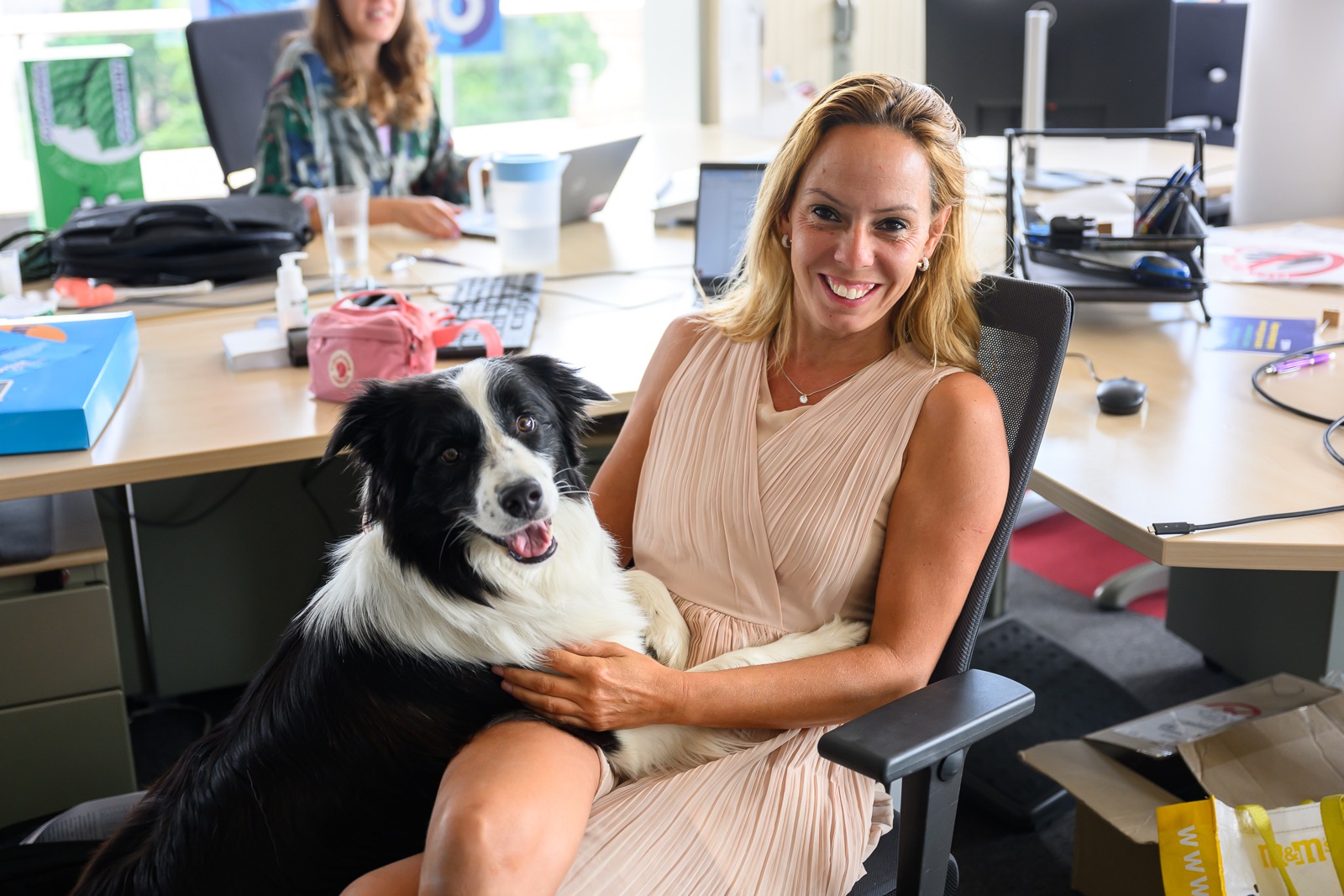 Câine la birou, alături de stăpâna lui