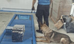 Câine de serviciu lângă pachete de țigări