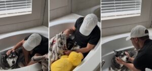 un caine speriat de furtuna este linistit de stapanul sau