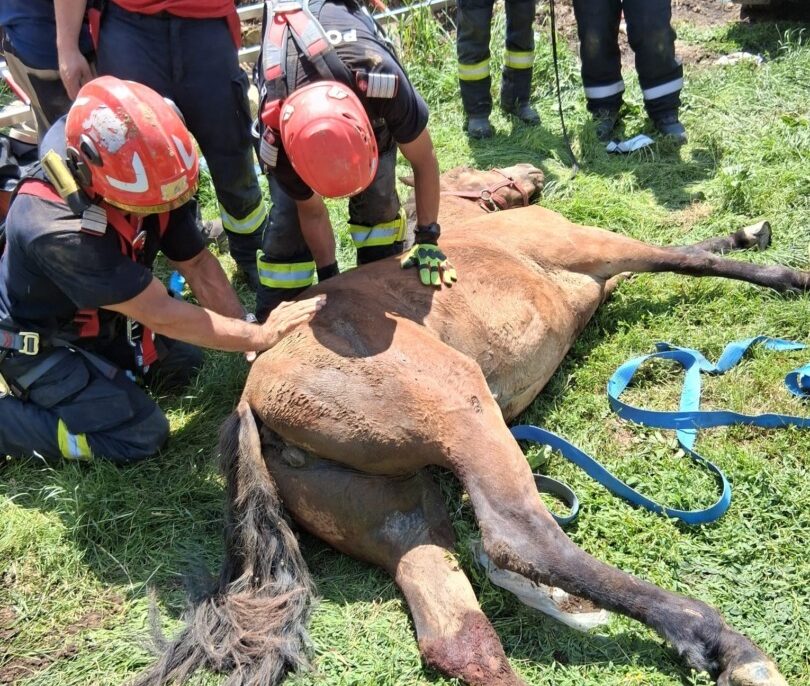 Cal salvat de pompieri