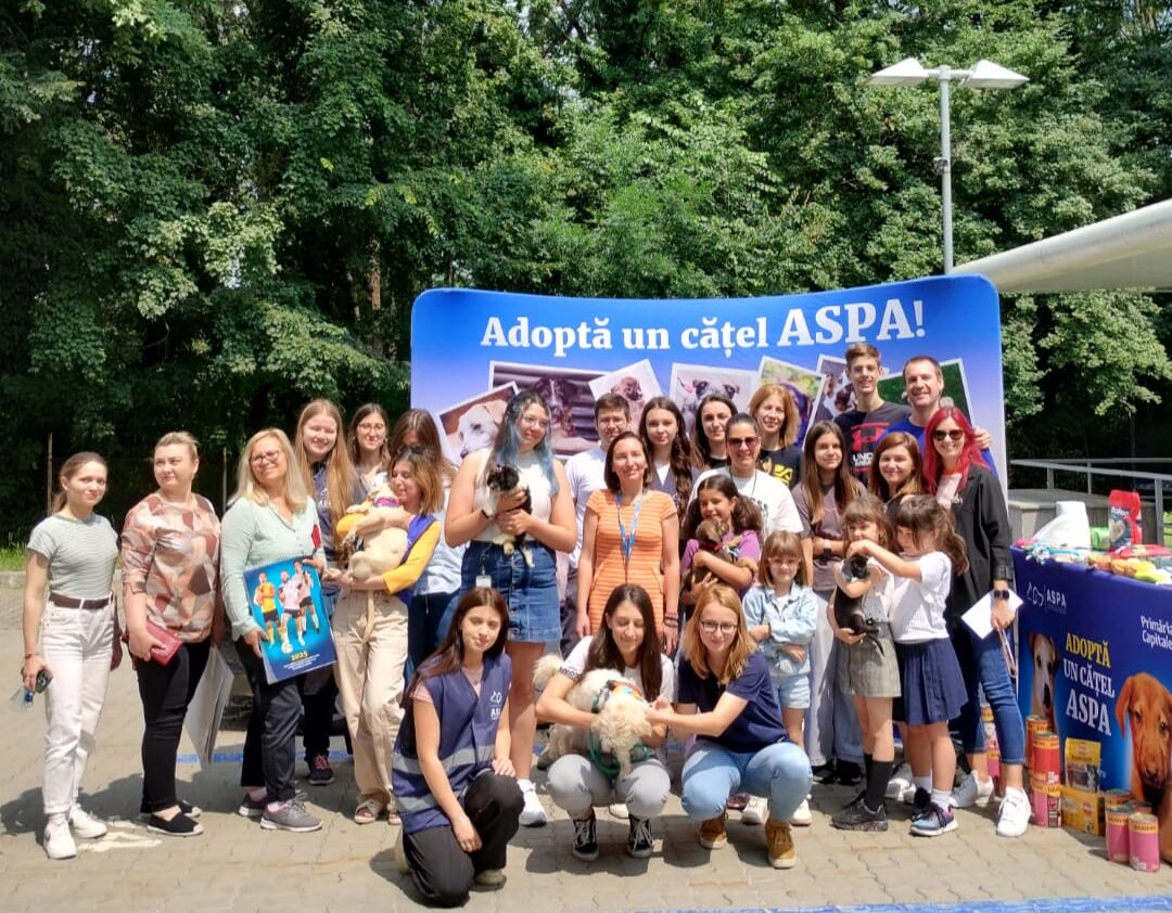 Angajații unei corporații și reprezentanți ASPA alături de căței