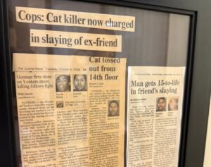 Panou cu articole din ziar despre criminali in serie si abuzatori de animale