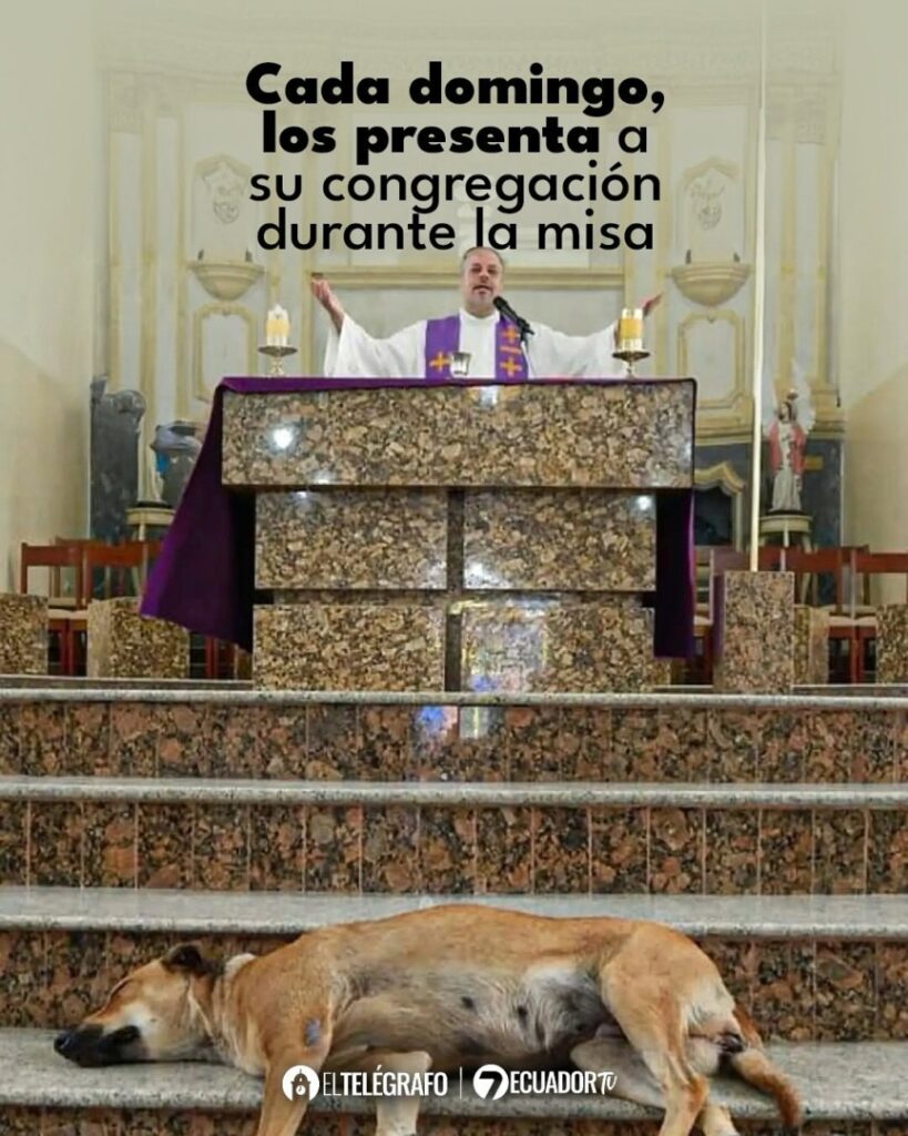 downloadgram.org_486778872_18489402589059597_857978218925272973_n