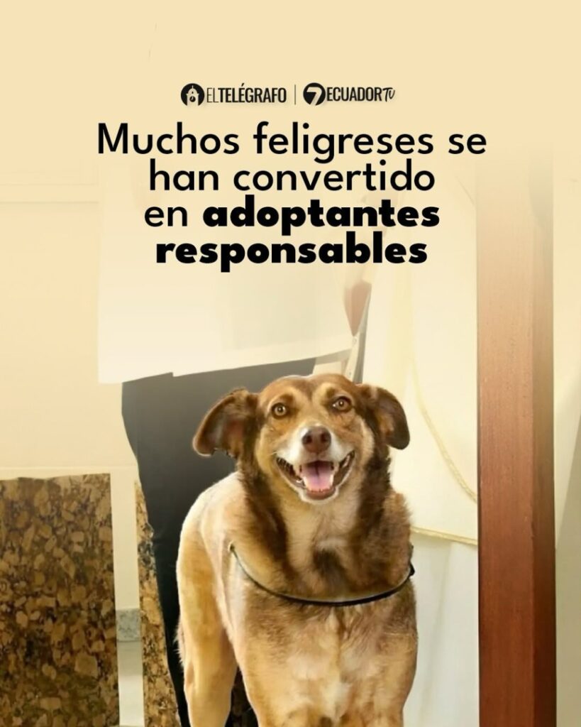 downloadgram.org_487412983_18489402598059597_1536107402575939543_n