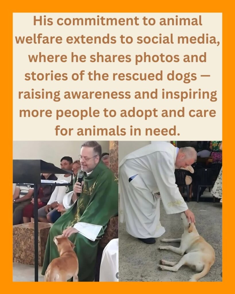 downloadgram.org_497504002_17875019070341826_5149653939631654605_n