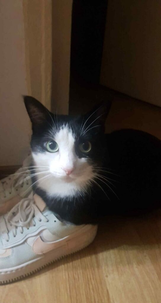 e47c4578-58ab-4b1e-b66b-f7bd651a3be6