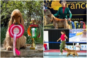 Colaj cu cățelul Enzo și stăpâna lui