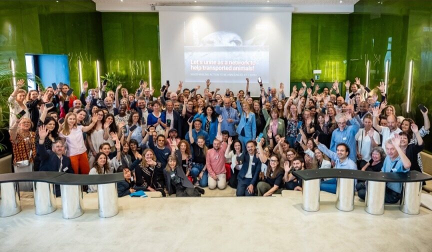 Activiști pentru drepturile animalelor