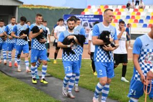 Fotbaliști intră pe teren ținând căței în brațe
