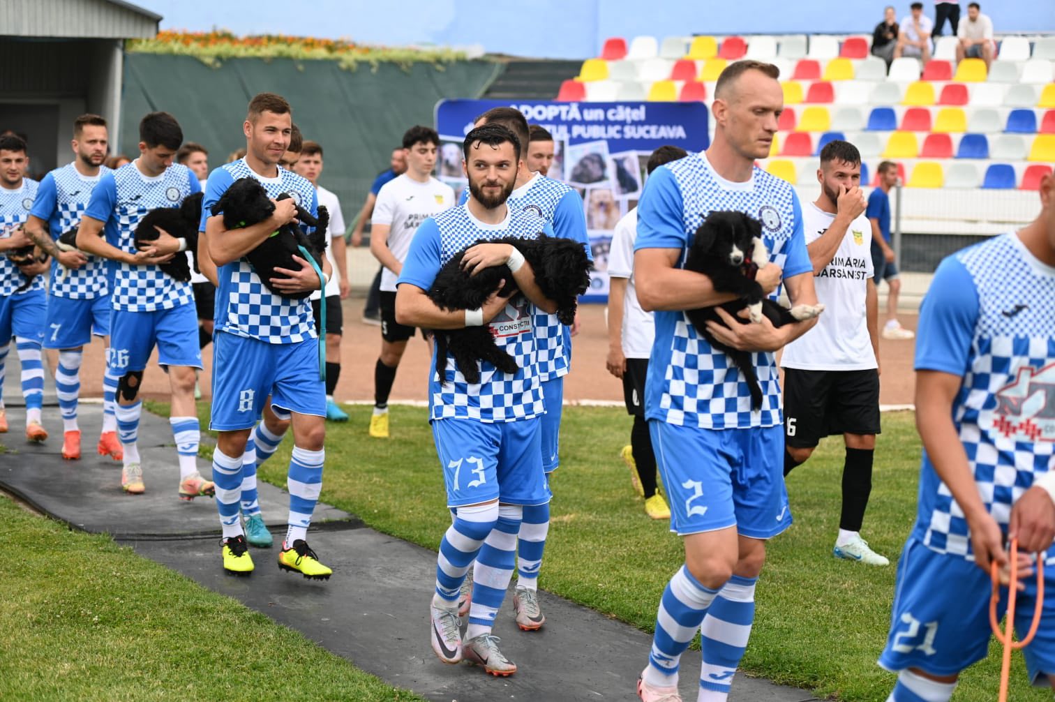 Fotbaliști intră pe teren ținând căței în brațe