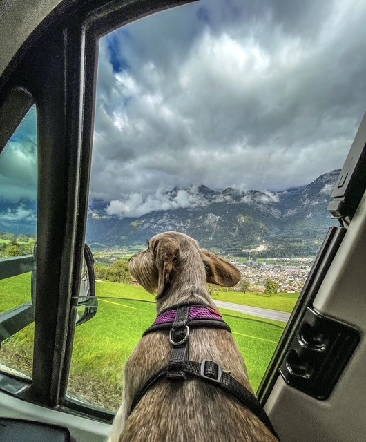 gacey-catelusa-care-calatoreste-pe-munte (14)