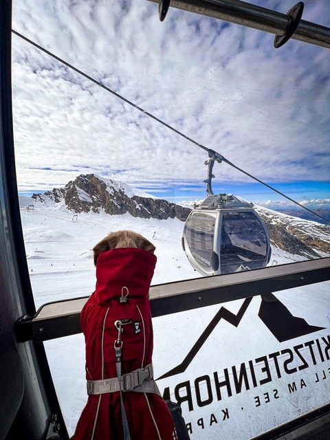 gacey-catelusa-care-calatoreste-pe-munte (17)