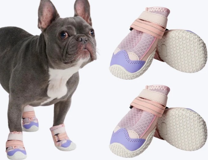 Pantofi pentru câini