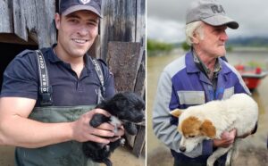 catei salvati de pompieri