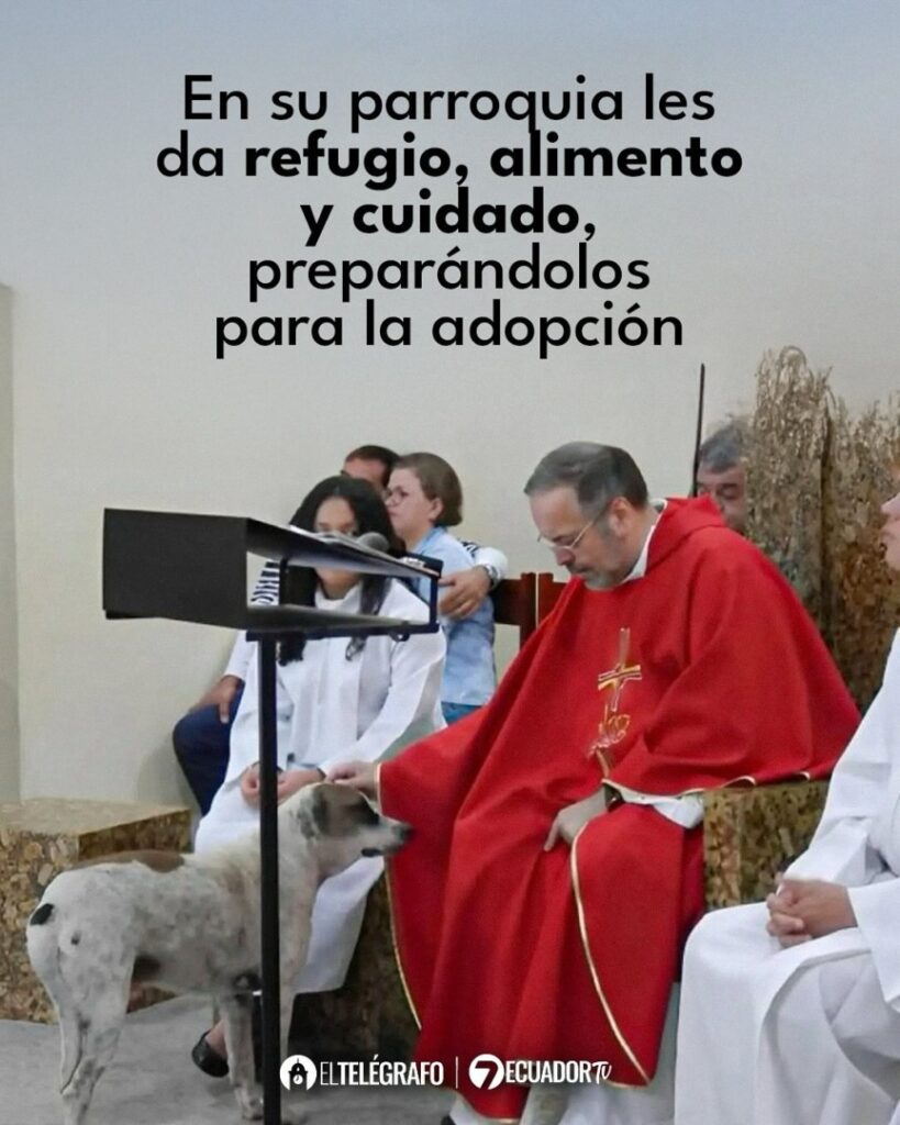 Preot la altar, alături de un câine