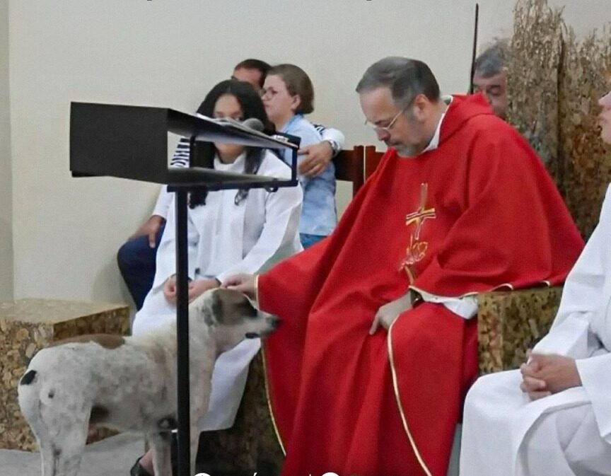 Preot la altar, alături de un câine