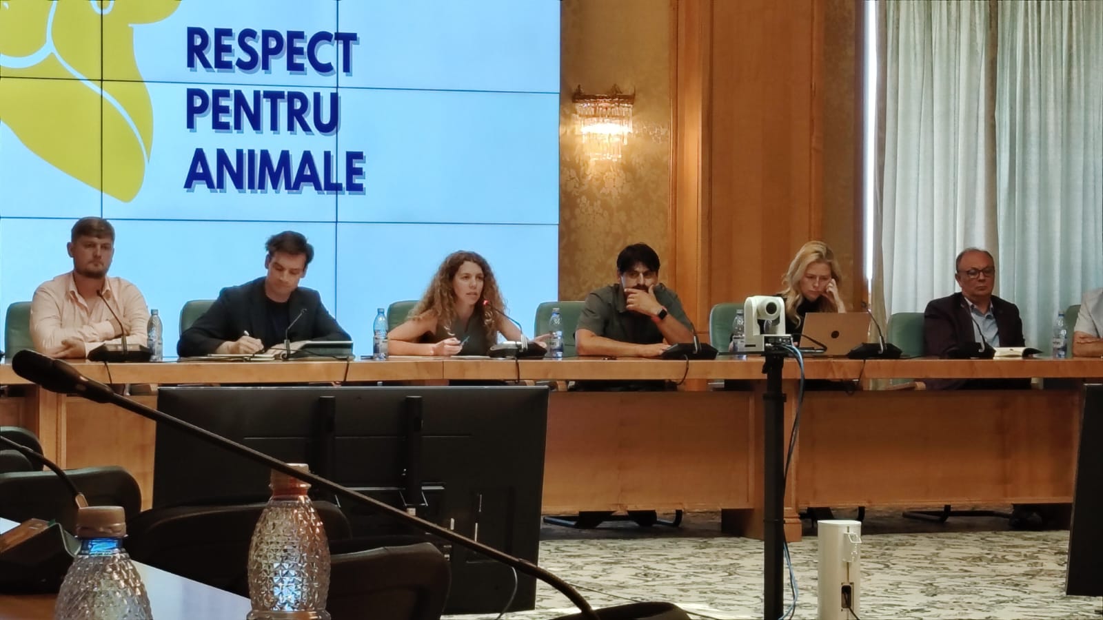 Dezbatere în Parlament pentru drepturile animalelor