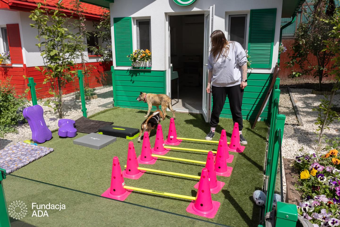 O tânără se joacă cu un câine