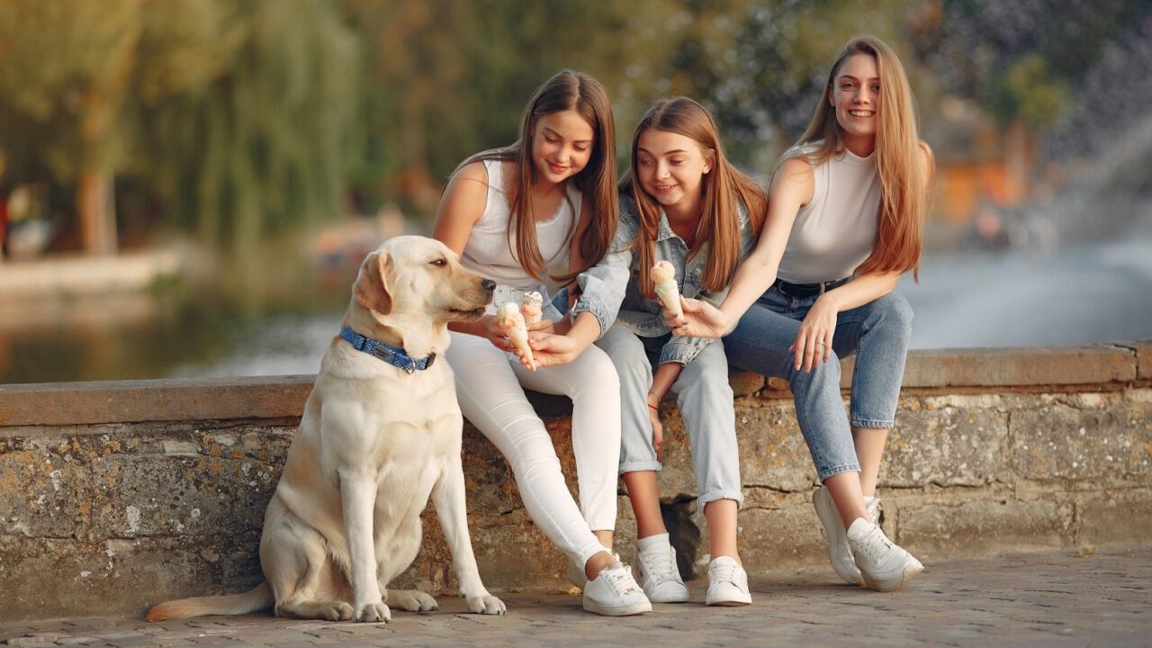 Trei tinere alături de un câțel lângă lac
