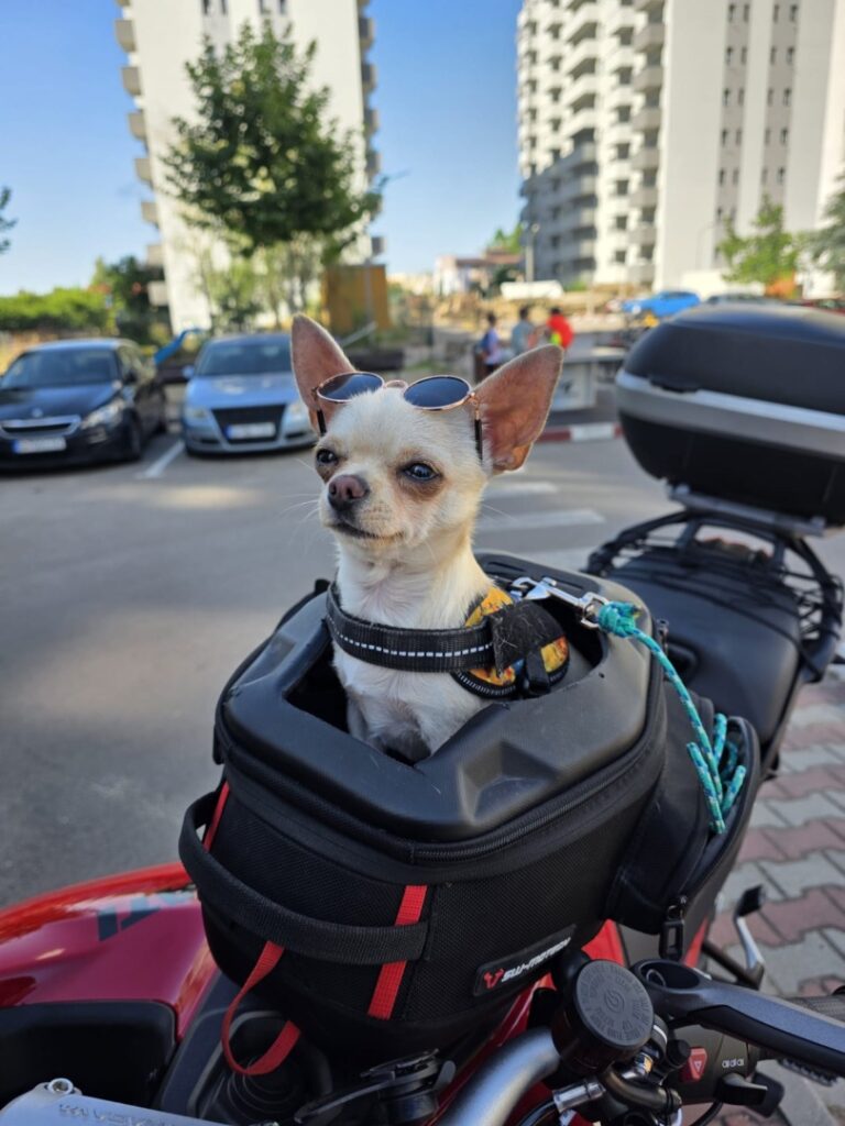 0eb01c11-3c4b-4c31-adc5-8397d7576b23