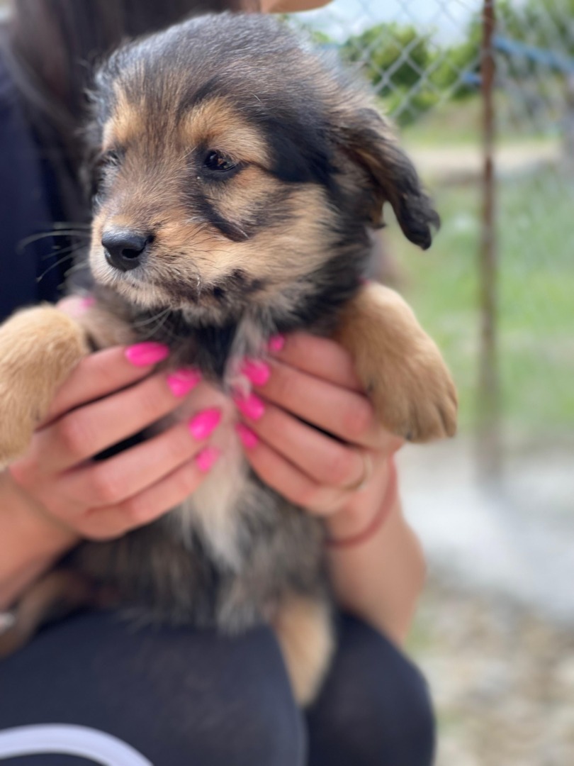 113e781b-ce9a-469f-85ea-b16ff640eed9