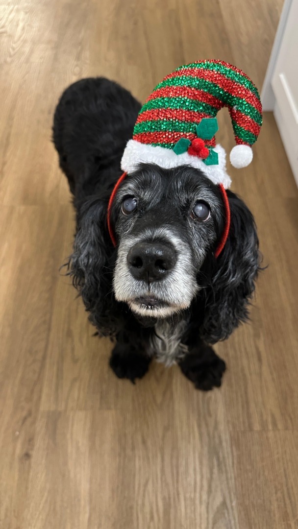 11e12161-6327-4d9a-8453-ecdfcb02322e