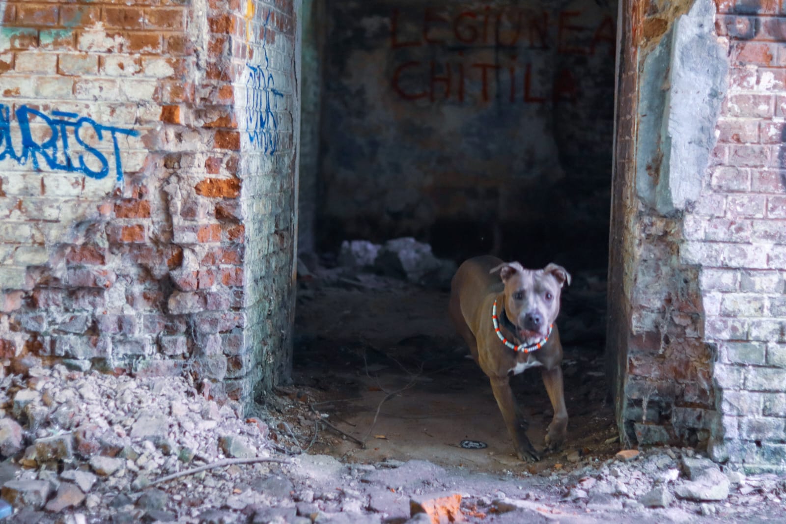 1b39f6d4-a86f-48d7-8800-6a027a58c4c0