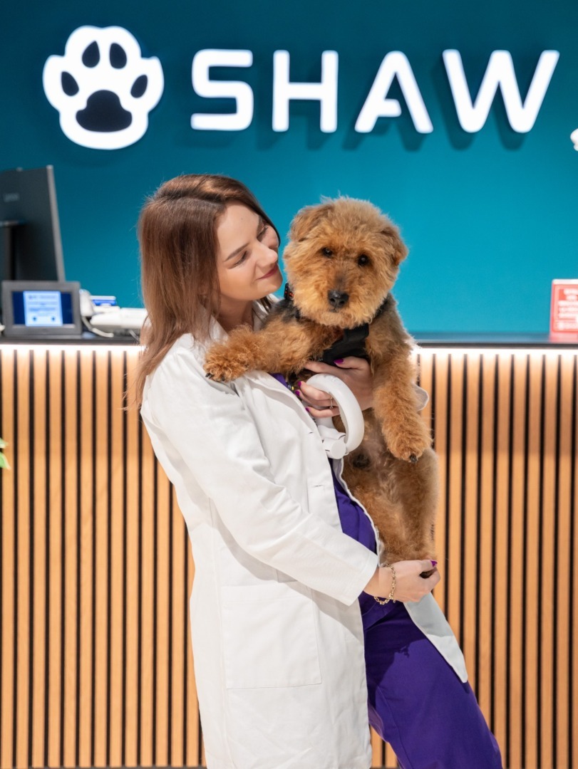 1bbbc489-011c-4fb9-b190-6918c5610933