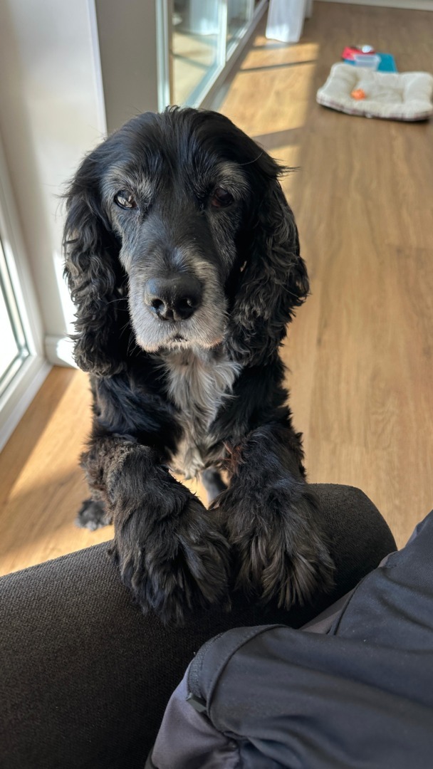 1c210dc9-2254-49a2-bc0c-18c285fefb64